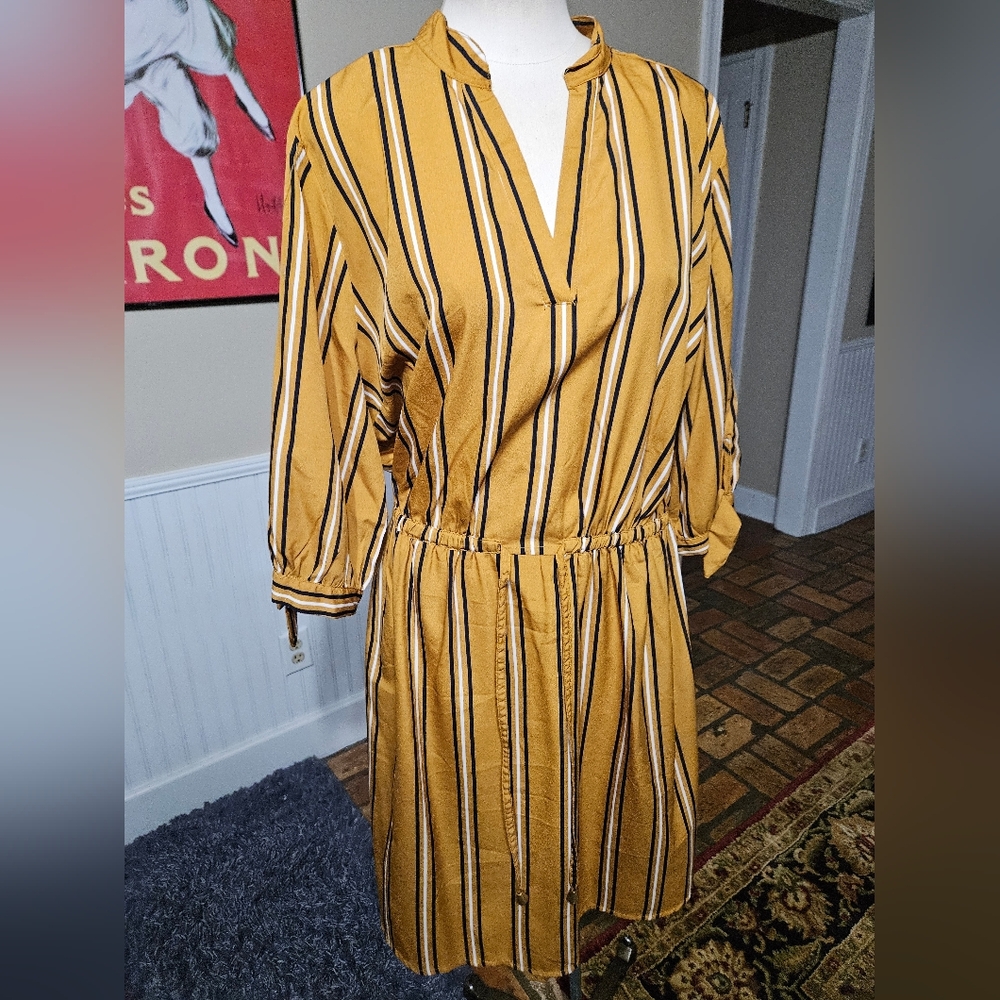 Blush Striped Dress Size 1X - Picture 2 of 4